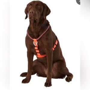 Arcadia Trail™ Dog Rope Harness with Adjustable Fit